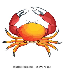 Crab isolated on white background