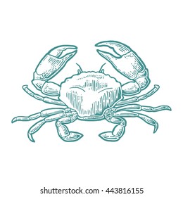 Crab isolated on white background. Vector vintage engraving illustration for menu, web and label. Hand drawn in a graphic style.