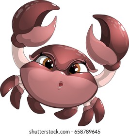 Crab isolated on white background