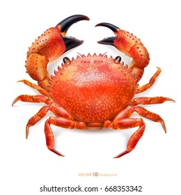 Crab isolated on white background. Vector eps 10.