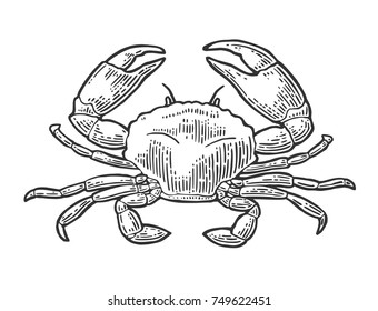 Crab isolated on white background. Vector color vintage engraving illustration for menu, web and label. Hand drawn in a graphic style.