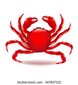 Crab isolated on white photo-realistic vector illustration