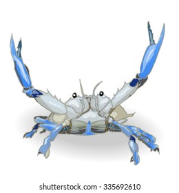 crab isolated white background