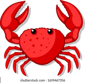 Crab with large claws on a white background. The form of the top.