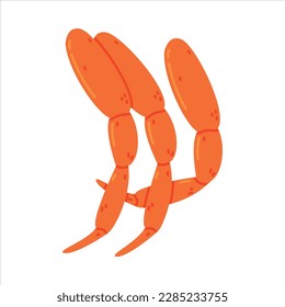 Crab Legs as Crustacean Seafood and Fresh Sea Product Vector Illustration