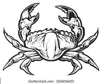 Crab line art