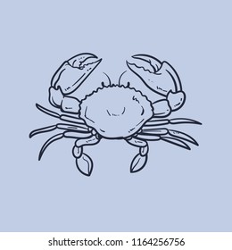 crab line art hand drawn