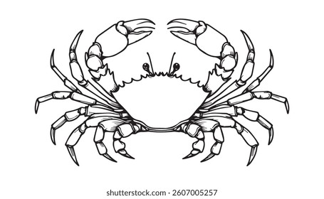 Crab Line Art. This image shows a continuous line drawing of a crab with detailed claws and legs. Vector illustration design.