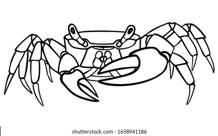 Cangrejo - ilustración vectorial lineal para colorear. Animal marino - cangrejo con garras grandes. Esquema. Dibujo manual.
