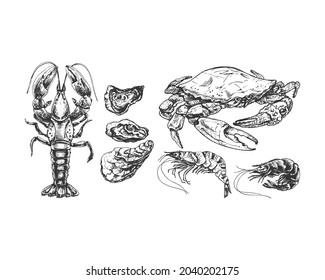 crab, lobster, oyster, shrimp, seafood graphic illustrations set, realistic sketch