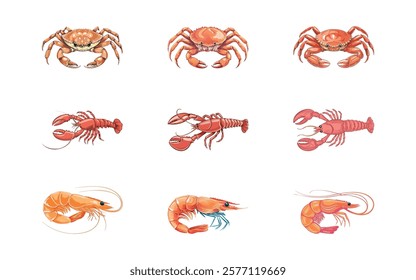 crab, lobster, shrimp hand drawn with three style