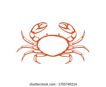 Crab logo. Isolated crab on white background