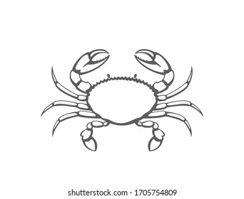 Crab logo. Isolated crab on white background