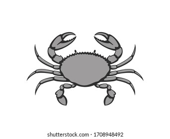 Crab logo. Isolated crab on white background