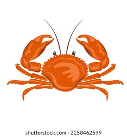 Crab. Marine dweller. Concept of sea and ocean life. Vector illustration