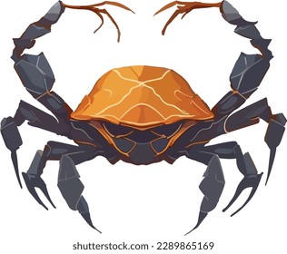 Crab multicolor vector illustration isolated on white background