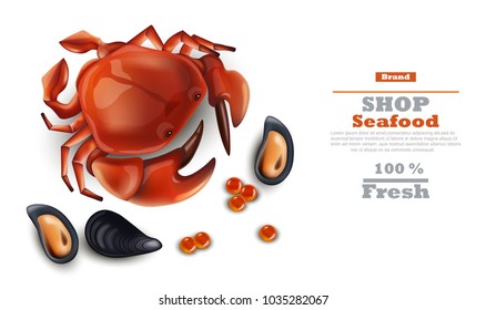 Crab and mussels Vector realistic on white background. Seafood template organic naturals