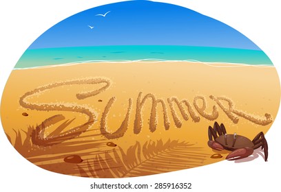 Crab on the beach 