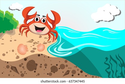 Crab on the beach with clams