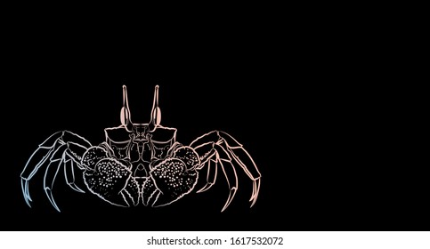 Crab on black background. Line drawing. Vector illustration.