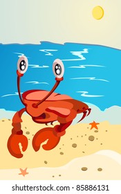 Crab on an ocean coast