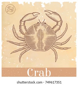 crab on old paper