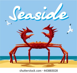 Crab on the sandy seashore. Vector illustration