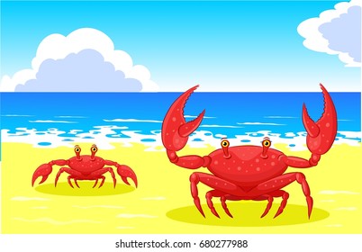 Crab on the sea