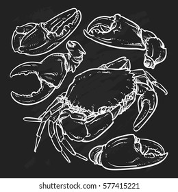 Crab outline on black background. Claw Crab doodle vector illustration. 