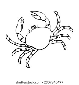 Krabbenumriss, Vektorgrafik einzeln auf weißem Hintergrund, Draufsicht