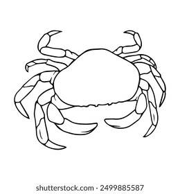 crab outline vector illustration,isolated on white background,top view