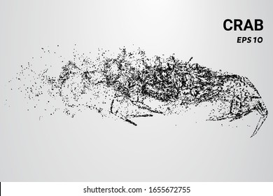 Crab from particles. The crab consists of circles and dots. The crab splits into molecules.