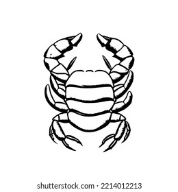 Crab Primitive Tribal Tattoo Design Vector