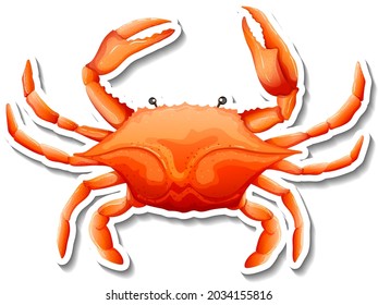 Crab sea animal cartoon sticker illustration