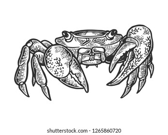 Crab sea animal engraving vector illustration. Scratch board style imitation. Black and white hand drawn image.