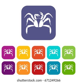 Crab sea animal icons set vector illustration in flat style In colors red, blue, green and other