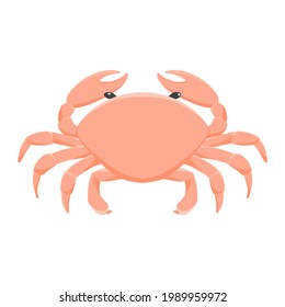 crab of sea animal illustration