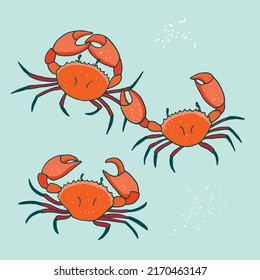 Ilustraciones de vectores de animales de mar de cangrejo