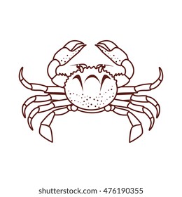crab sea animal water seafood nature ocean cartoon vector illustration