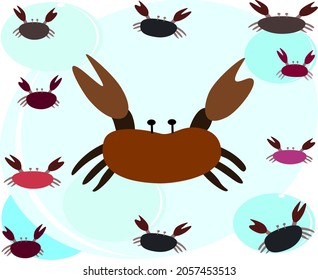 crab sea crab aquatic animal amphibians vector illustration