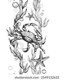 Crab, sea blue algae with leaves wriggling in wave with bubbles and coral starfish. Graphic illustration hand drawn in black ink underwater world. Seamless vertical border pattern for long projects