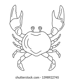 Crab. Sea creatures. Under the water. Black and white vector illustration. Coloring book. Adults, children. Sea animals.