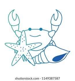 crab sea with starfish and shell