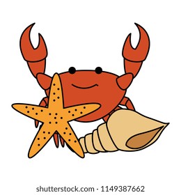 crab sea with starfish and shell