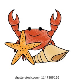 crab sea with starfish and shell