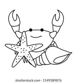 crab sea with starfish and shell