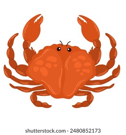 Crab. Seafood, delicacy. Gourmet appetizer. Delicious raw seafood delicatessen. Flat vector illustration isolated on white background