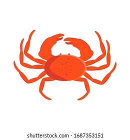 Crab seafood illustration on the white background. Vector illustration