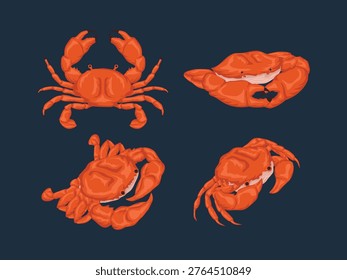 crab seafood ocean shellfish claws cartoon raw illustration element menu beach ingredient ornament