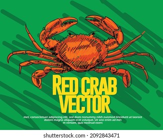 Crab Seafood product design template.Vector Art.